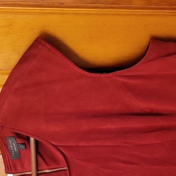 The Limited Dress - Picture 3 of 7